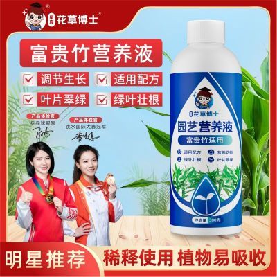 富贵竹营养液专用观音竹叶黄家用植物生根养花肥料通用农用营养液