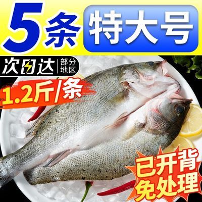 ���ڲ��������߿Ϳ���������ȥ�������汣�ʻ��������ٶ��䶳�������������� 20.59Ԫ