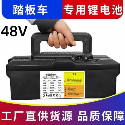 48V通用电动车电池盒小葡萄盒大容量48v锂电池