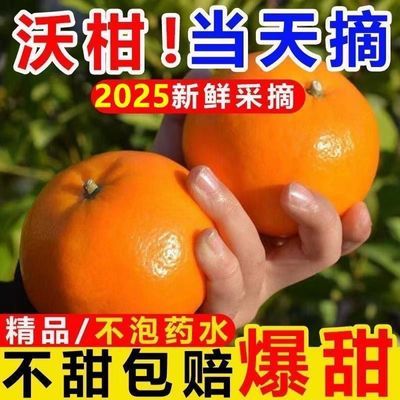 【正宗沃柑】云南爆甜沃柑当季整箱水果橘子桔子新鲜薄皮产地直发