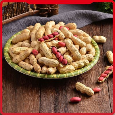 批发新鲜东北红衣花生自种晒干红衣生花生红皮带壳