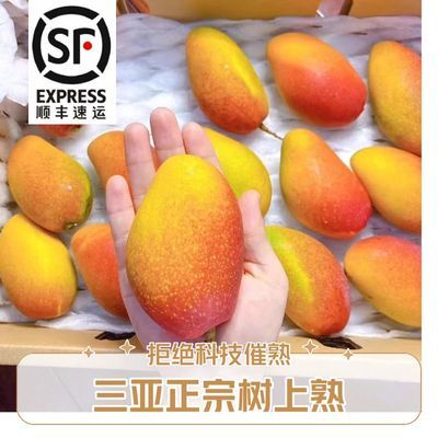 海南三亚正宗树上熟贵妃芒果即食新鲜应季水果贵妃芒果顺丰包邮
