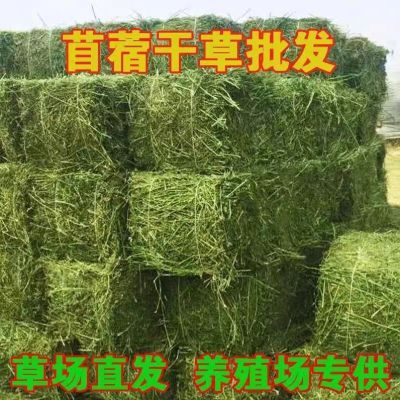 紫花苜蓿草批发紫花苜蓿草包喂养羊驼牛马羊高蛋白干畜牧草牛羊