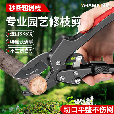 ڲͼ֦ǿ֦޼֦԰԰ֻռ4.99Ԫ