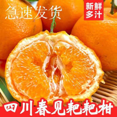 正宗四川春见新鲜水果柑橘当季孕妇橘子果冻桔子应季薄皮整箱批发