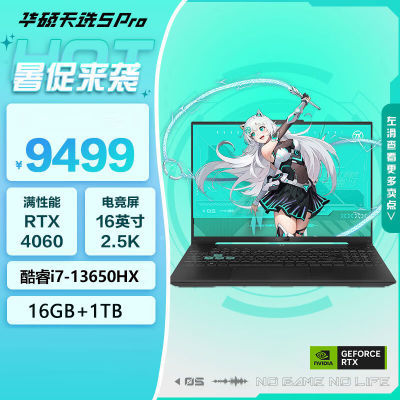 ˶ѡ5ProI7-13650HX RTX4060ѧϷƱʼǱԻɫ6029Ԫ