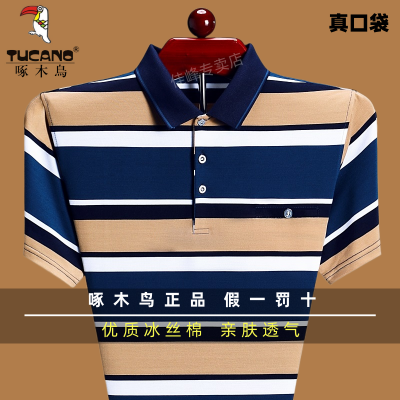 啄木鸟男士高档t恤短袖新款夏季冰丝棉条纹翻领宽松大码Polo