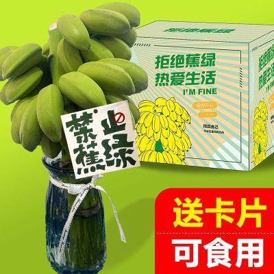 ڲֹ̡С׽8칫ˮֲ(ߵ) 29.8Ԫ