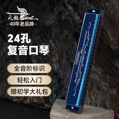 天鹅口琴初学者学生24孔28孔复音重音C调儿童成人入门自学乐器