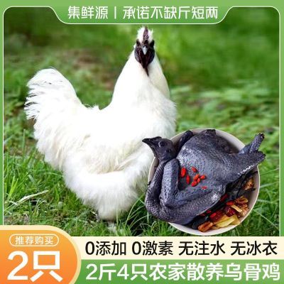 ڲԴڼӪ̲ɱٶëڹǼ00עˮ24.9Ԫ