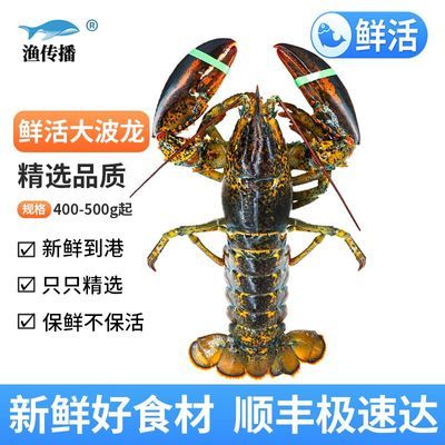 ڲ˳ʻ洫ʻʿٴϺʲϺֱ115Ԫ