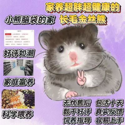 冰袋透气发货波力金丝纯银虎纹奶牛丁香丝熊超萌长毛可撸性格好