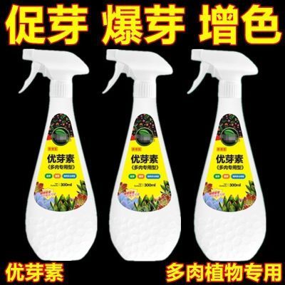 浓缩优芽素多肉专用促芽催芽分化叶插花卉植物多肉爆芽素营养液