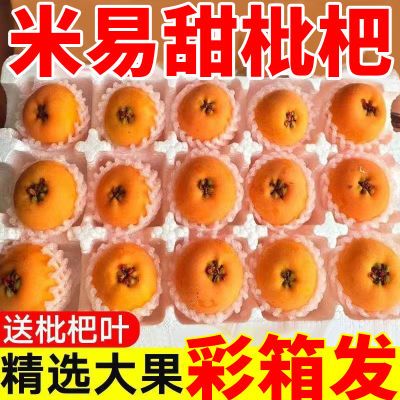 四川攀枝花米易枇杷新鲜水果当季高山五星枇杷果现摘爆甜孕妇琵琶