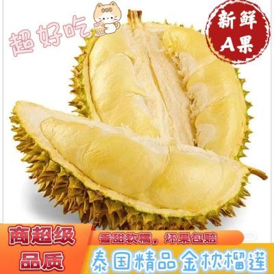 【顺丰速运】泰国进口金枕头榴莲新鲜一整个带壳榴莲批发孕妇水果