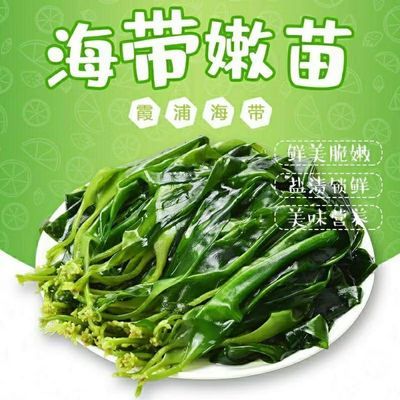 仙苗苗【0脂低卡】宁德市霞浦县盐渍海带嫩苗火锅食材商用批发