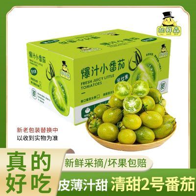 ���ڲ���������ɭ��˳����ʡ�ɽ������2��ʥŮ��С���������������߲�2���� 21.9Ԫ