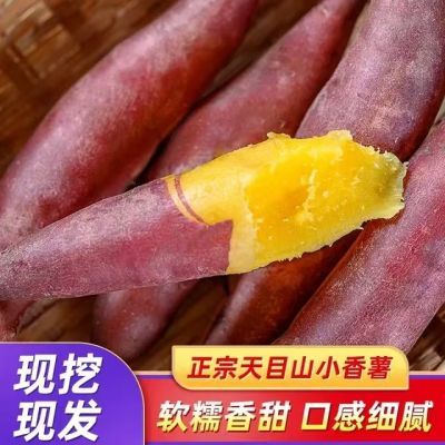 正宗天目山小香薯板栗红薯新鲜农家自种番薯地瓜黄心蜜薯整箱批发