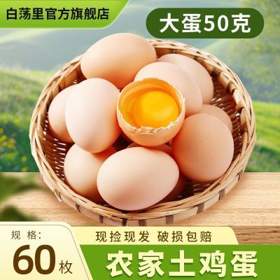 ڲ50˴󵰡60ö׵ɢӪݼַּ54.2Ԫ