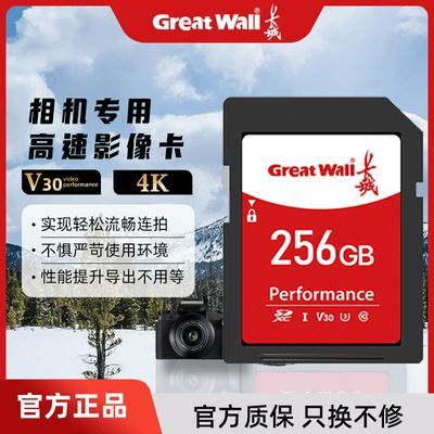 ڲSD256Gٴ˶˻רô洢24.9Ԫ