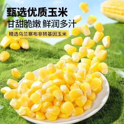 三只松鼠玉米粒480g*1袋休闲零食玉米粒超值健康方便