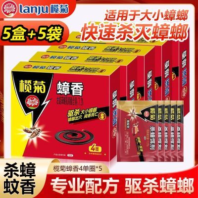 ڲ魾ѬüӺװƷ19.99Ԫ