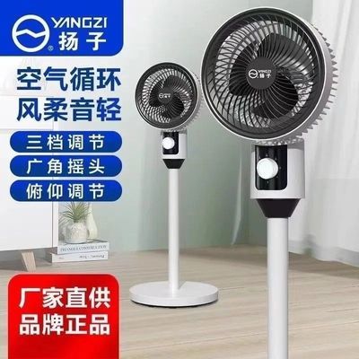 扬子空气循环风扇家用涡轮电风扇宿舍摇头静音立式遥控落地扇
