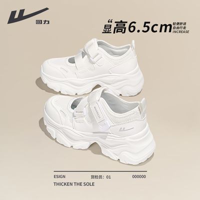ڲ˶ЬŮС2025¿ļο͸С76.4Ԫ