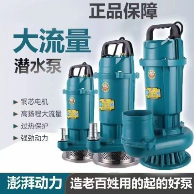 上海人民款国标潜水泵220v农用灌溉大流量家用高扬程抽水泵大