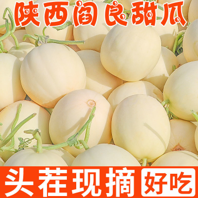 ڲ䡾衿ˮƤ۹14.5Ԫ