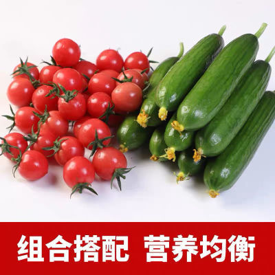 ڲ桿ʥŮСƹԻƴװˮ2/412.8Ԫ