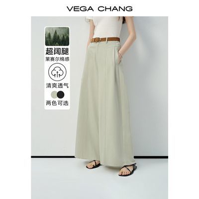 ڲVEGA CHANGпŮ2025¿ĸзָƳֱͲ㡾15ڷ248.9Ԫ