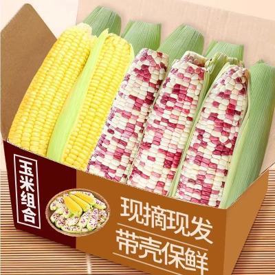 百亿补贴：万户之农现摘水果玉米花糯玉米组合装4.6-5斤新鲜玉米带皮苞米 15.92元