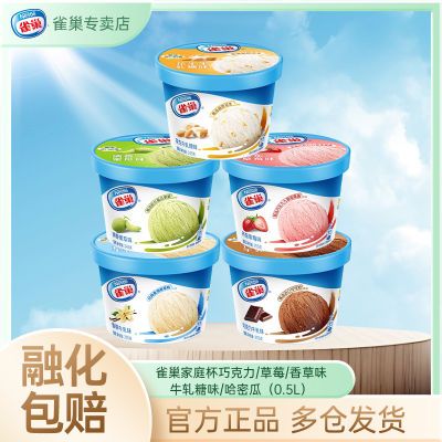 雀巢冰淇淋乐享家庭装冰激凌香草巧克力多口味网红雪糕245g/255g