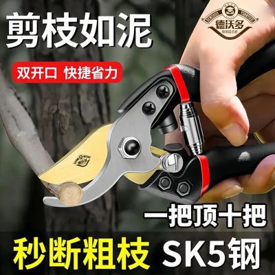 ڲֶSK5ǿ԰ռʡ޼֦֦֦רü 8.5Ԫ