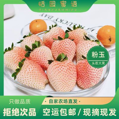 ڲݮ1.8ײݮժֱַﵭѩϵ68.9Ԫ