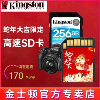 ڲʿSD SDG3 256G洢4K ΢ٶȡ170MB/s54.1Ԫ