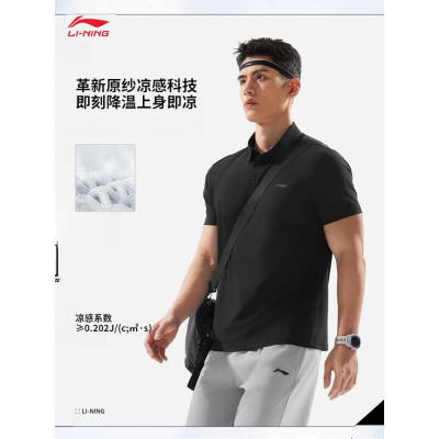 ڲPOLOϵӱʷɹ书POLOAPLV039133Ԫ