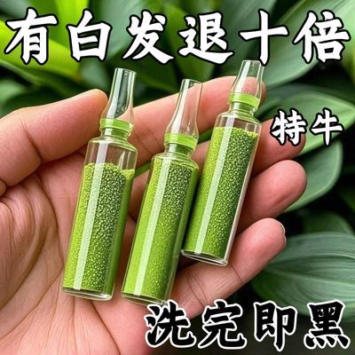 【国货正品】新疆乌斯曼草侧柏叶新款发粉黑发养发防脱头皮护理/