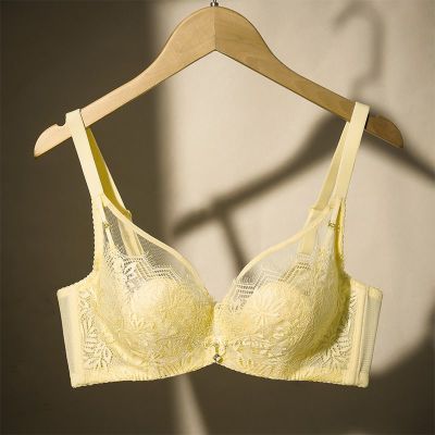 ���ڲ��������������´�����С���س�����˿��͹������Ȧ���´��ո��������� 79Ԫ