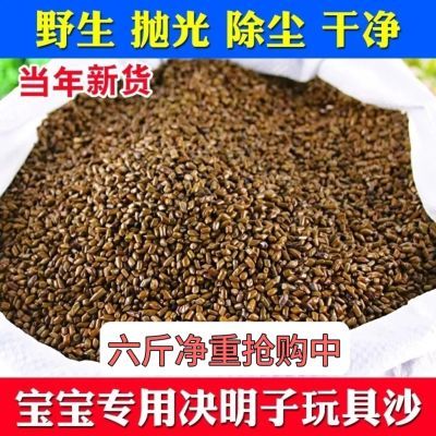 儿童玩具沙子决明子沙池套装宝宝沙滩玩具决明子枕芯野生除尘批发