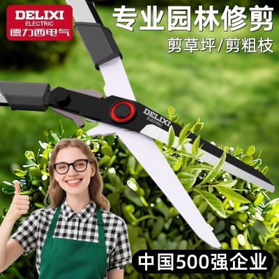 ���ڲ���������������԰�մ����԰�ֻ�����֦���޼���֦��ƺ��ǿ������� 23.8Ԫ