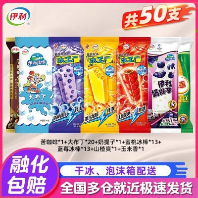 【到手50支】伊利冰淇淋雪糕大布丁冰工厂奶提子玉米香苦咖啡混