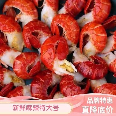 【当年新货】特大号龙虾尾特大号特大新鲜特级小龙虾鲜活整箱批发
