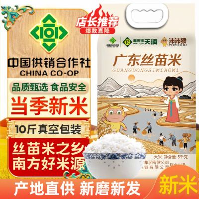 【供销社沛沛猴广东丝苗米】10斤真空包装江门台山丝苗米软糯香甜