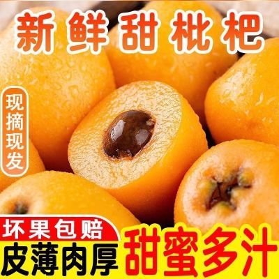 云南蒙自枇杷新鲜止咳润肺水果鲜果孕妇整箱酸枇杷果新鲜甜可口