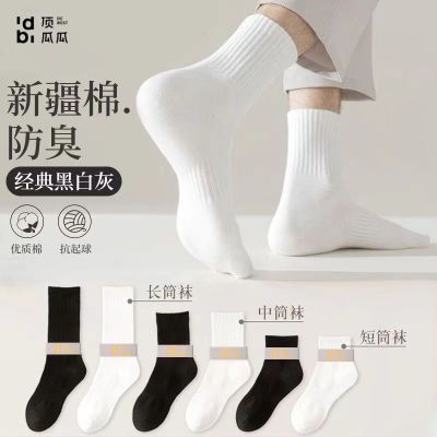 ڲϹӴɫŮ˶ഺıͲ5.5Ԫ