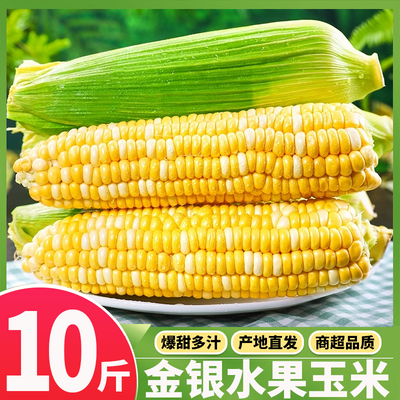 云南金银水果玉米新鲜甜玉米开袋即食嫩玉米生吃爆浆玉米整箱批发