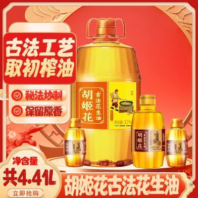 ڲ4.4Lʳͼͥ˹ŷһѹե 399.9Ԫ
