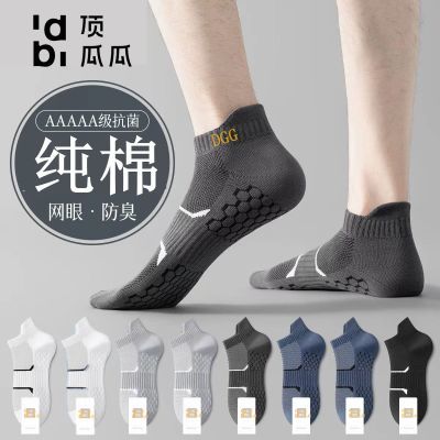 ڲϹļޱʿͰȫ100͸5.26Ԫ
